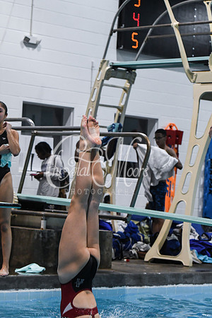 Allatoona Diving at Kennesaw Mountain High School Mountain Madness Meet