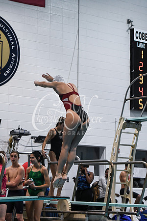 Allatoona Diving at Kennesaw Mountain High School Mountain Madness Meet