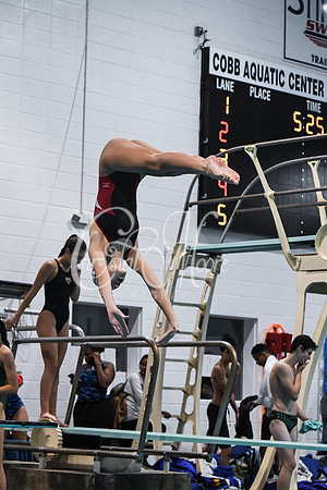 Allatoona Diving at Kennesaw Mountain High School Mountain Madness Meet