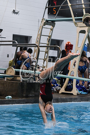 Allatoona Diving at Kennesaw Mountain High School Mountain Madness Meet