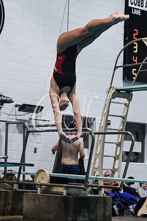 Allatoona Diving at Kennesaw Mountain High School Mountain Madness Meet