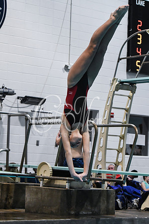 Allatoona Diving at Kennesaw Mountain High School Mountain Madness Meet