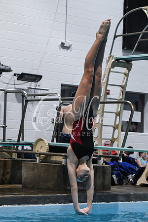 Allatoona Diving at Kennesaw Mountain High School Mountain Madness Meet