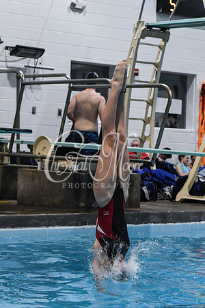 Allatoona Diving at Kennesaw Mountain High School Mountain Madness Meet