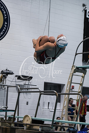 Allatoona Diving at Kennesaw Mountain High School Mountain Madness Meet