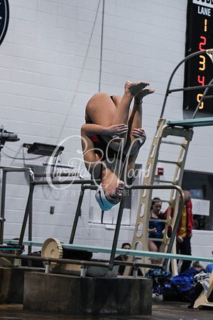 Allatoona Diving at Kennesaw Mountain High School Mountain Madness Meet