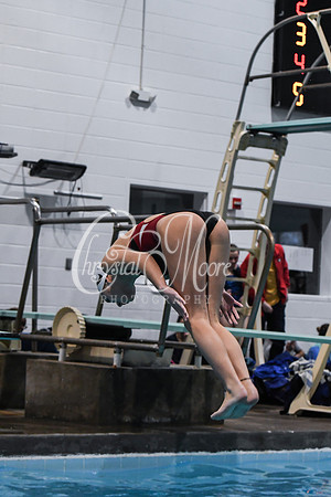Allatoona Diving at Kennesaw Mountain High School Mountain Madness Meet