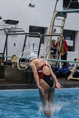 Allatoona Diving at Kennesaw Mountain High School Mountain Madness Meet