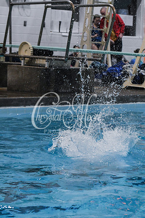 Allatoona Diving at Kennesaw Mountain High School Mountain Madness Meet