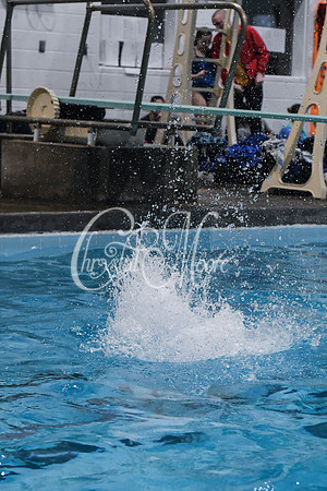 Allatoona Diving at Kennesaw Mountain High School Mountain Madness Meet