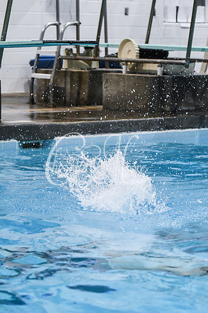 Allatoona Diving at Kennesaw Mountain High School Mountain Madness Meet