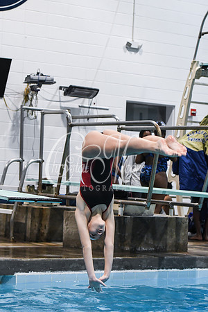 Allatoona Diving at Kennesaw Mountain High School Mountain Madness Meet