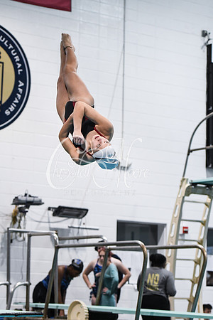 Allatoona Diving at Kennesaw Mountain High School Mountain Madness Meet