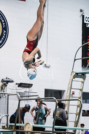 Allatoona Diving at Kennesaw Mountain High School Mountain Madness Meet