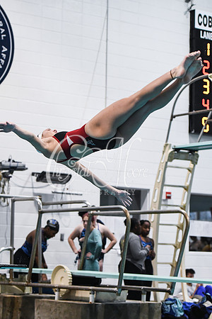 Allatoona Diving at Kennesaw Mountain High School Mountain Madness Meet