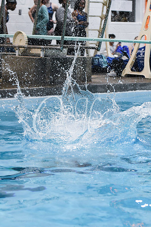 Allatoona Diving at Kennesaw Mountain High School Mountain Madness Meet