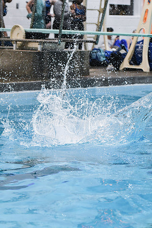 Allatoona Diving at Kennesaw Mountain High School Mountain Madness Meet