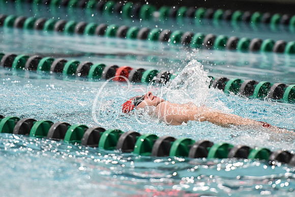 Allatoona Swimming at Kennesaw Mountain High School Mountain Madness Meet
