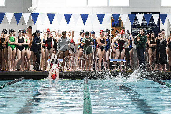 Allatoona Swimming at Kennesaw Mountain High School Mountain Madness Meet