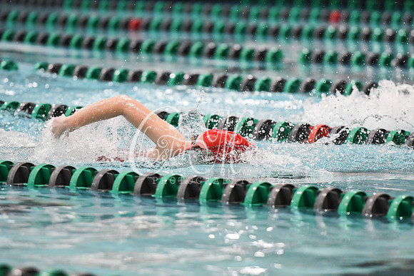Allatoona Swimming at Kennesaw Mountain High School Mountain Madness Meet