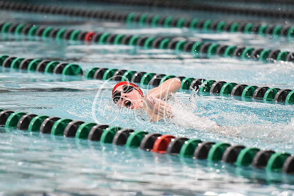 Allatoona Swimming at Kennesaw Mountain High School Mountain Madness Meet
