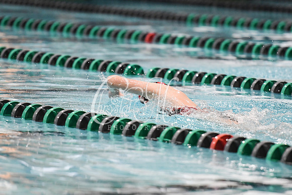 Allatoona Swimming at Kennesaw Mountain High School Mountain Madness Meet
