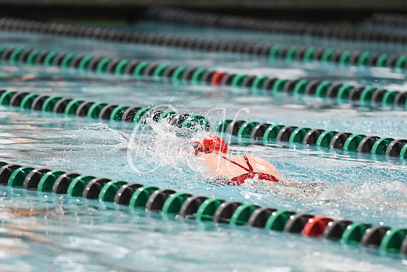 Allatoona Swimming at Kennesaw Mountain High School Mountain Madness Meet