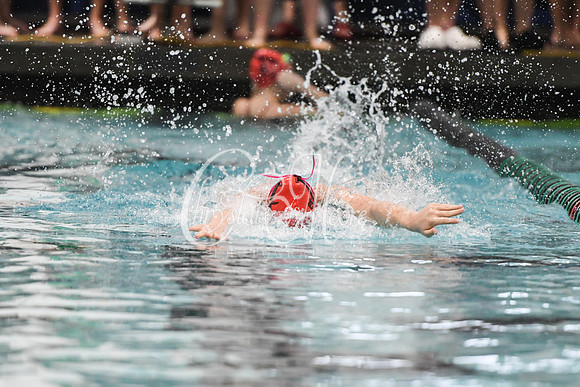 Allatoona Swimming at Kennesaw Mountain High School Mountain Madness Meet