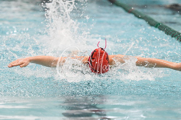 Allatoona Swimming at Kennesaw Mountain High School Mountain Madness Meet