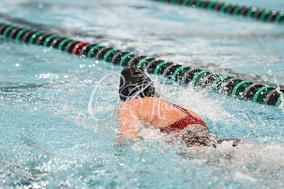 Allatoona Swimming at Kennesaw Mountain High School Mountain Madness Meet