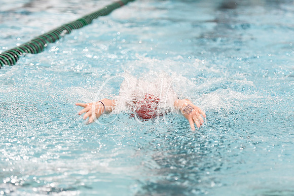 Allatoona Swimming at Kennesaw Mountain High School Mountain Madness Meet