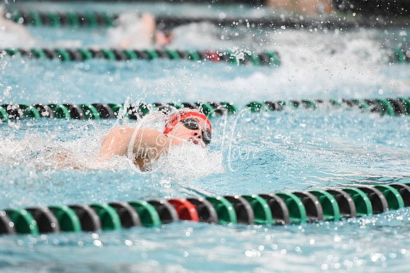 Allatoona Swimming at Kennesaw Mountain High School Mountain Madness Meet