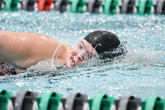 Allatoona Swimming at Kennesaw Mountain High School Mountain Madness Meet
