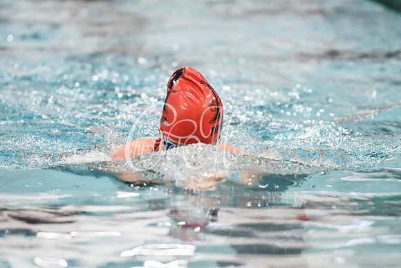 Allatoona Swimming at Kennesaw Mountain High School Mountain Madness Meet