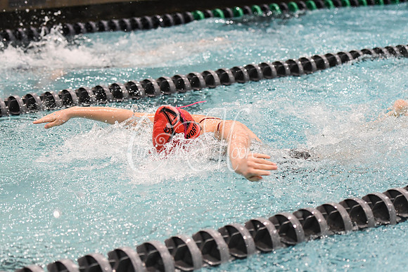 Allatoona Swimming at Kennesaw Mountain High School Mountain Madness Meet
