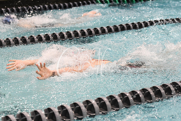 Allatoona Swimming at Kennesaw Mountain High School Mountain Madness Meet