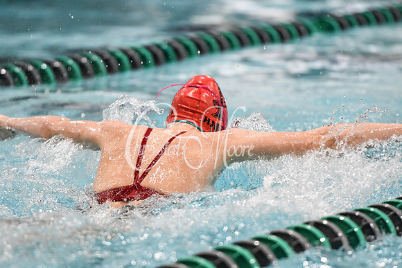 Allatoona Swimming at Kennesaw Mountain High School Mountain Madness Meet