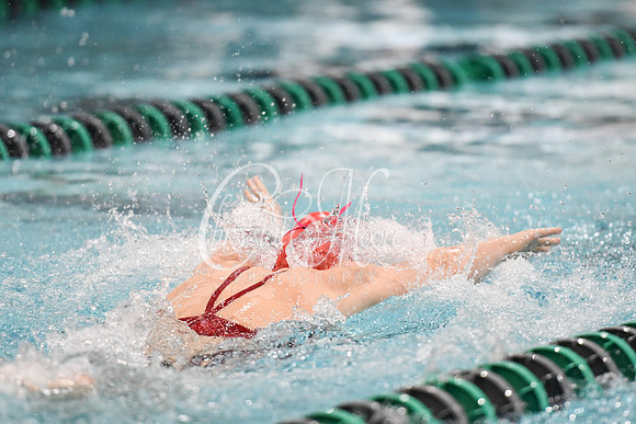 Allatoona Swimming at Kennesaw Mountain High School Mountain Madness Meet
