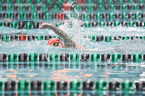 Allatoona Swimming at Kennesaw Mountain High School Mountain Madness Meet