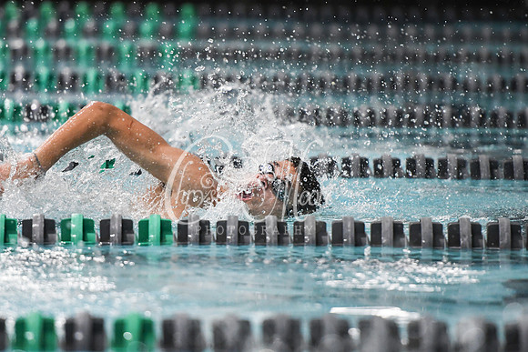 Allatoona Swimming at Kennesaw Mountain High School Mountain Madness Meet