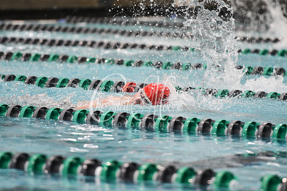 Allatoona Swimming at Kennesaw Mountain High School Mountain Madness Meet