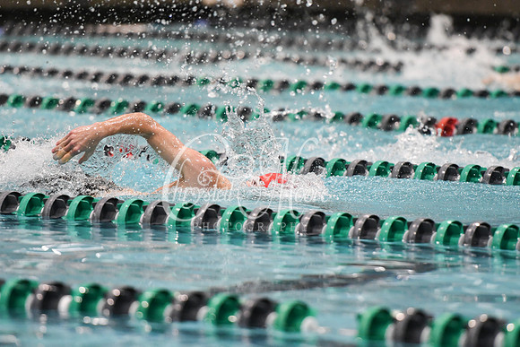 Allatoona Swimming at Kennesaw Mountain High School Mountain Madness Meet