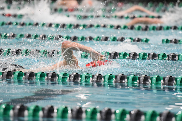 Allatoona Swimming at Kennesaw Mountain High School Mountain Madness Meet