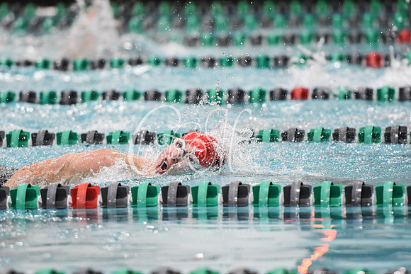 Allatoona Swimming at Kennesaw Mountain High School Mountain Madness Meet
