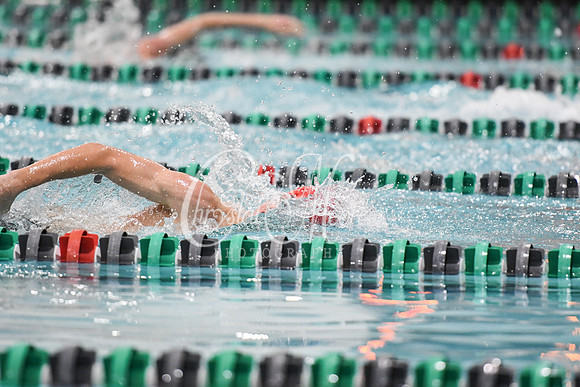 Allatoona Swimming at Kennesaw Mountain High School Mountain Madness Meet