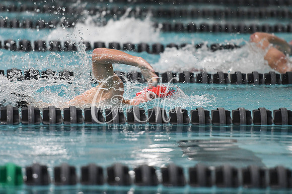 Allatoona Swimming at Kennesaw Mountain High School Mountain Madness Meet