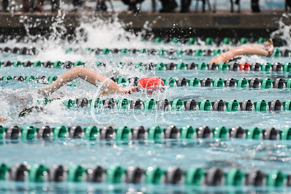 Allatoona Swimming at Kennesaw Mountain High School Mountain Madness Meet