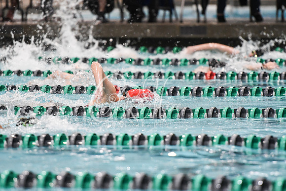 Allatoona Swimming at Kennesaw Mountain High School Mountain Madness Meet