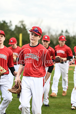 Allatoona JV Baseball vs Marietta