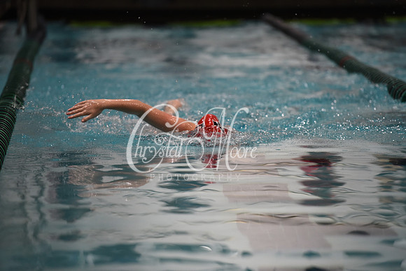 Allatoona Swim and Dive at Cobb Divisional Meet